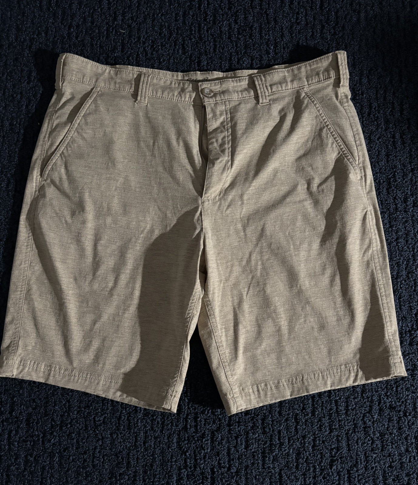 Eddie Bauer Travex Shorts Mens 36 Gorpcore Nylon Stretch Tan Heritage Hiking 10″
