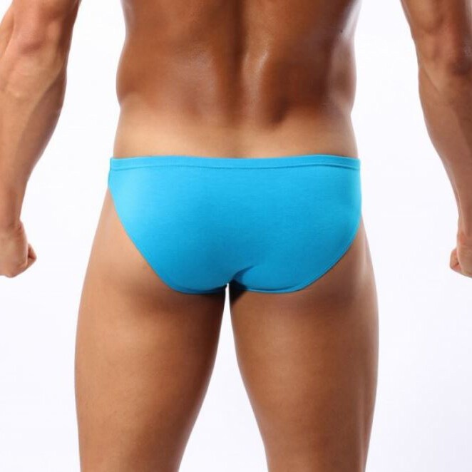 3 Pack Lot Mens Pouch Bulge Underwear Briefs Low Rise Underpants Comfort Modal