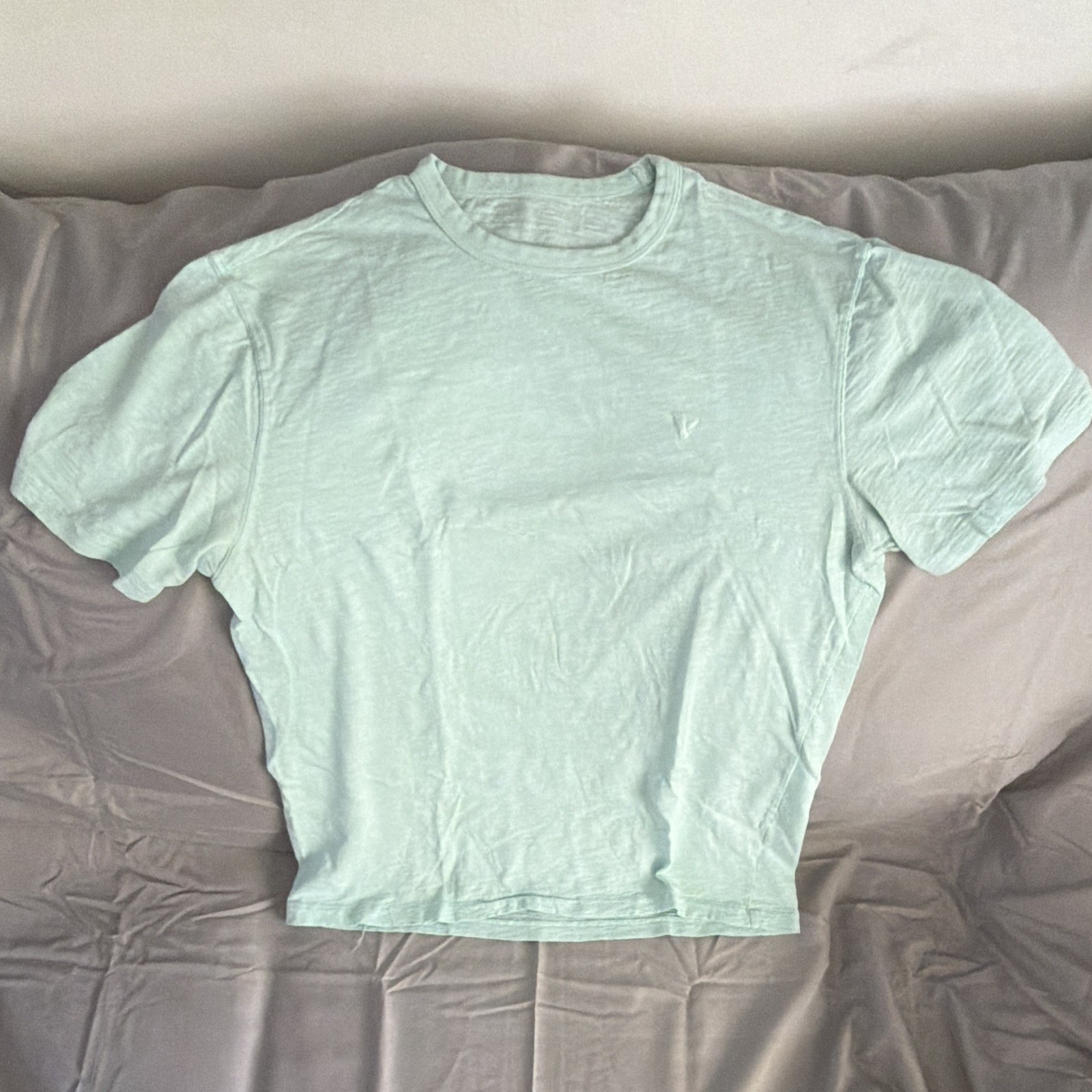 American Eagle Super Soft Standard Fit Light green Solid Crew Neck Tee Mens M