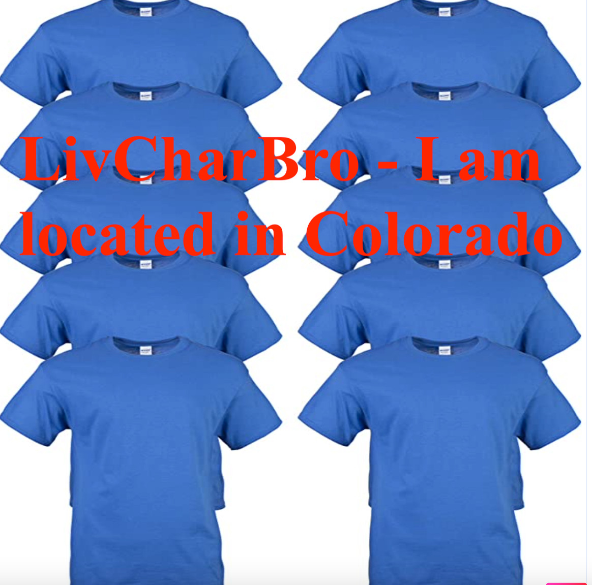 10 PCS Gildan Men’s T-Shirts Royal Blue 100% Cotton MID-Weight Size Medium