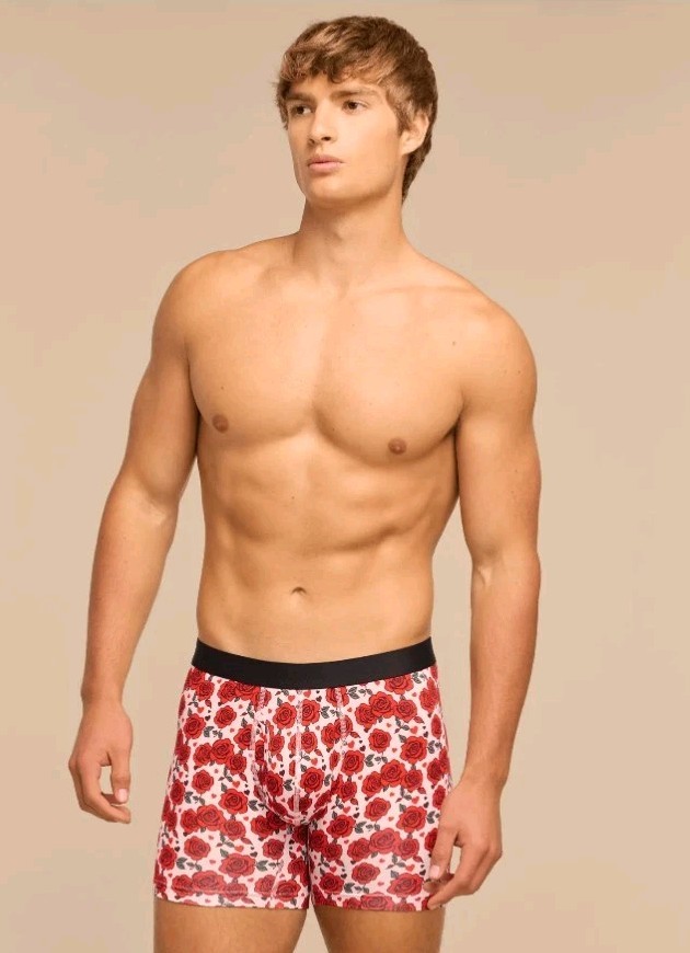 MeUndies UltraModal Core Boxer Brief w/Fly Rosy Cheeks Size 4X NWT