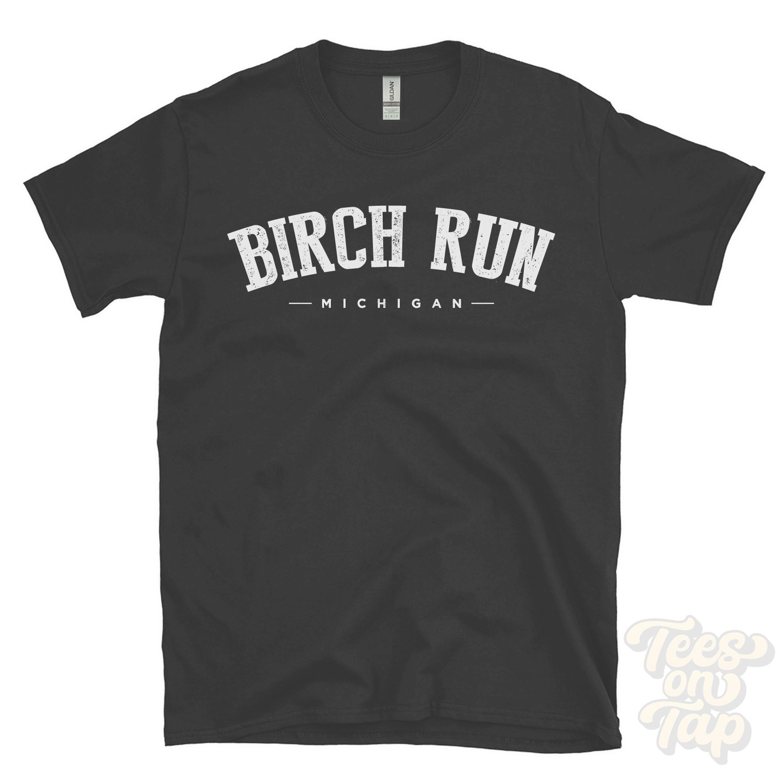 BIRCH RUN MICHIGAN T-SHIRT Saginaw USA retro varsity style hometown gift idea