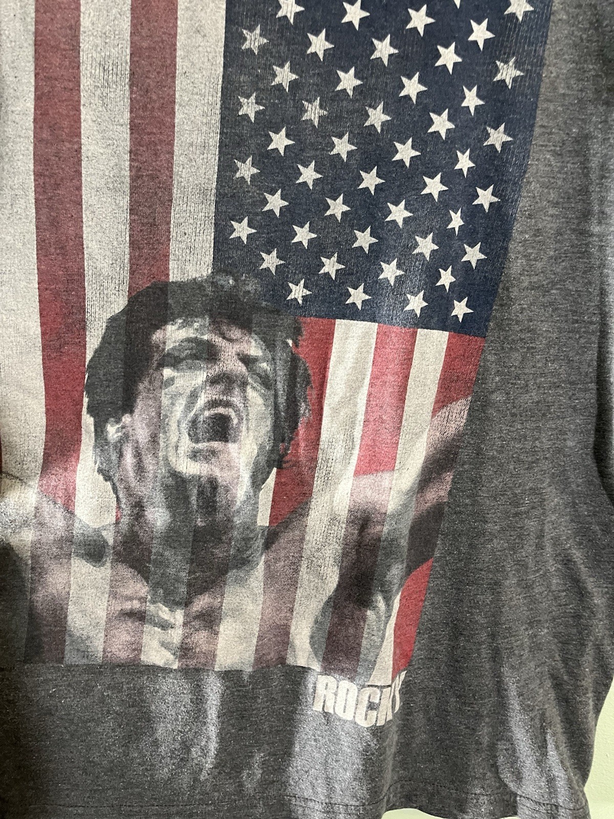 The Rock Men’s XL Gray Tagless WWE Patriotic Graphic Tee Crew Neck SS