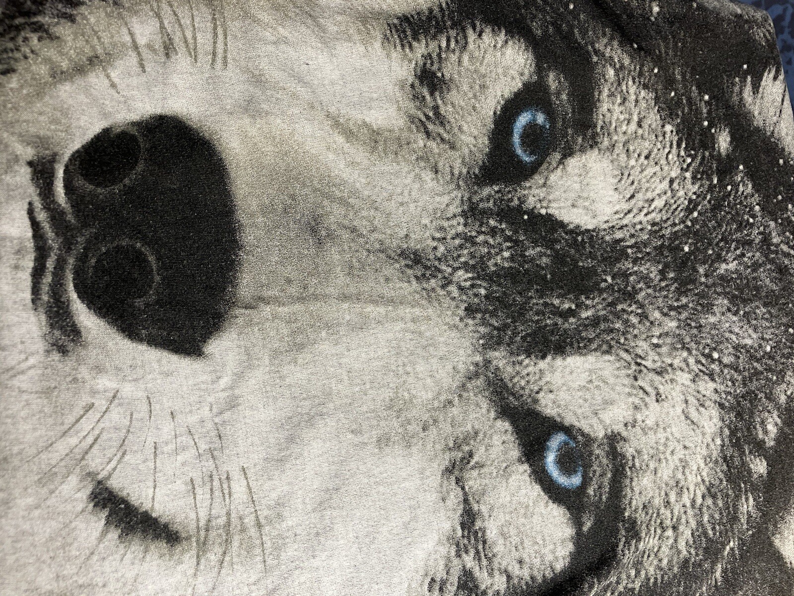 Vintage Blue Eyed Wolf XL Grey Stylish Woman’s T-shirt