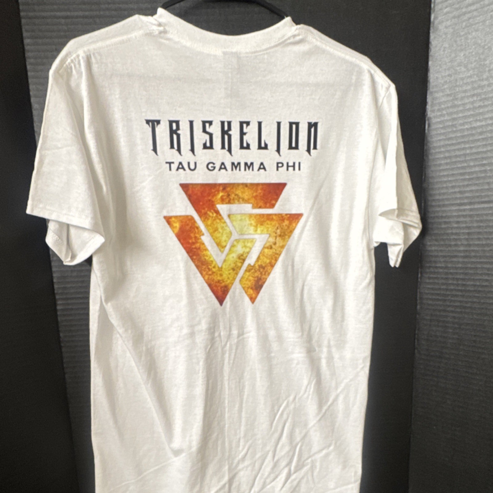 Gildan Heavy Cotton White Triskelion Tau Gamma Phi Graphic Men’s T-Shirt M