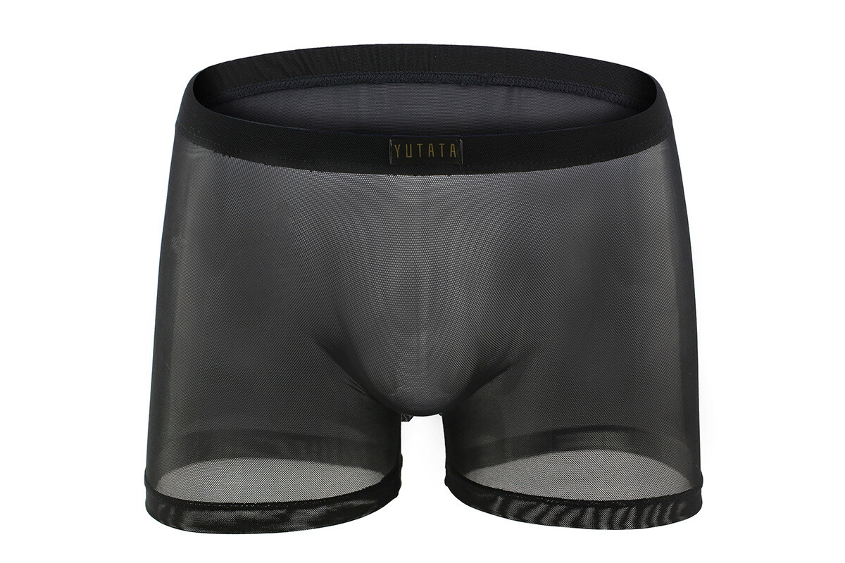 Sexy Mens See-through Boxer Briefs Sheer Mesh Pouch Underwear Lingerie Panties