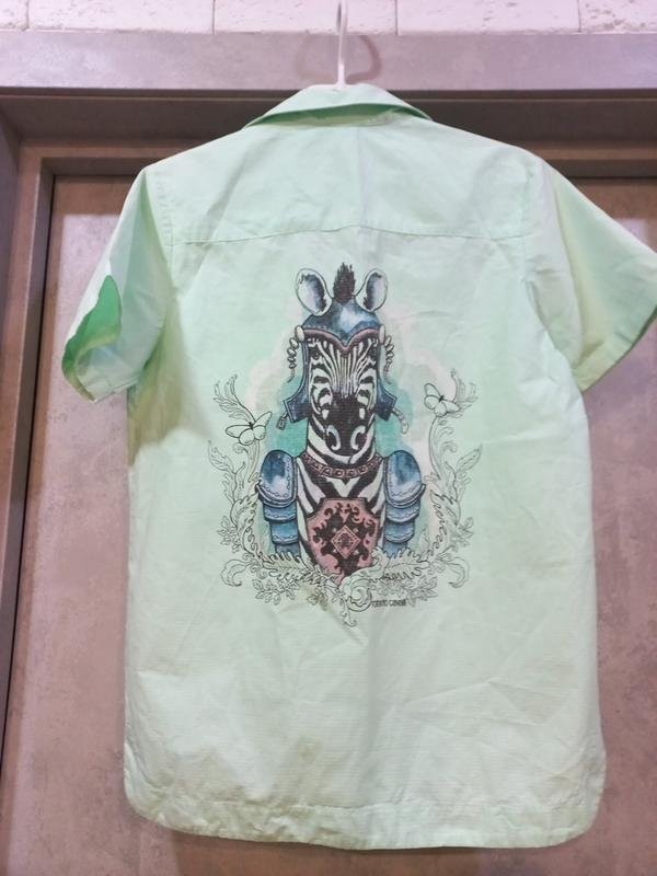 Men Roberto Cavalli Shirt Turquoise Cotton 36 / S