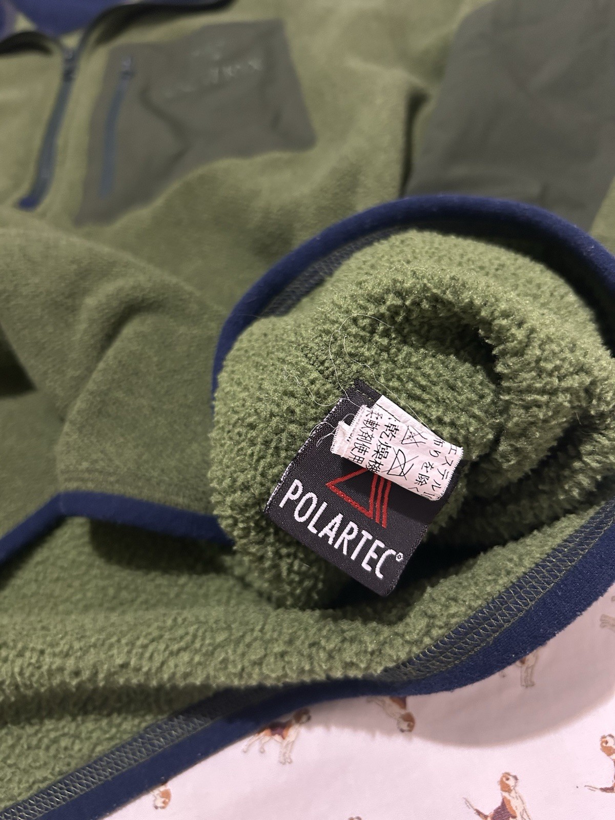 Arc’teryx Green/Blue Polartec 1/4 Zip Fleece Mock Neck Pockets Size L/G