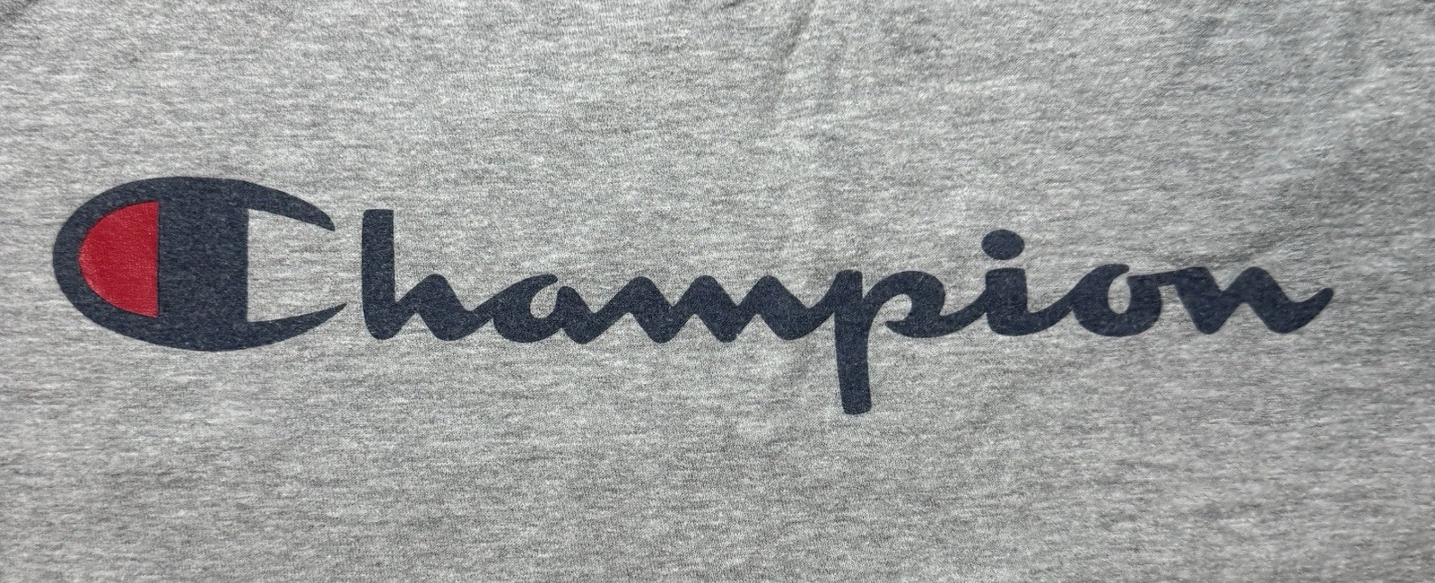 Champion Men’s Gray Logo Graphic Print T-Shirt Crew Neck Short Sleeve Size M