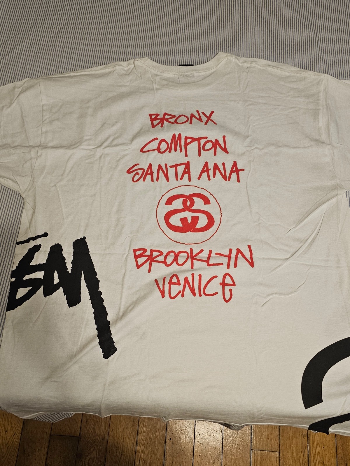 Big World Tour tee Stussy