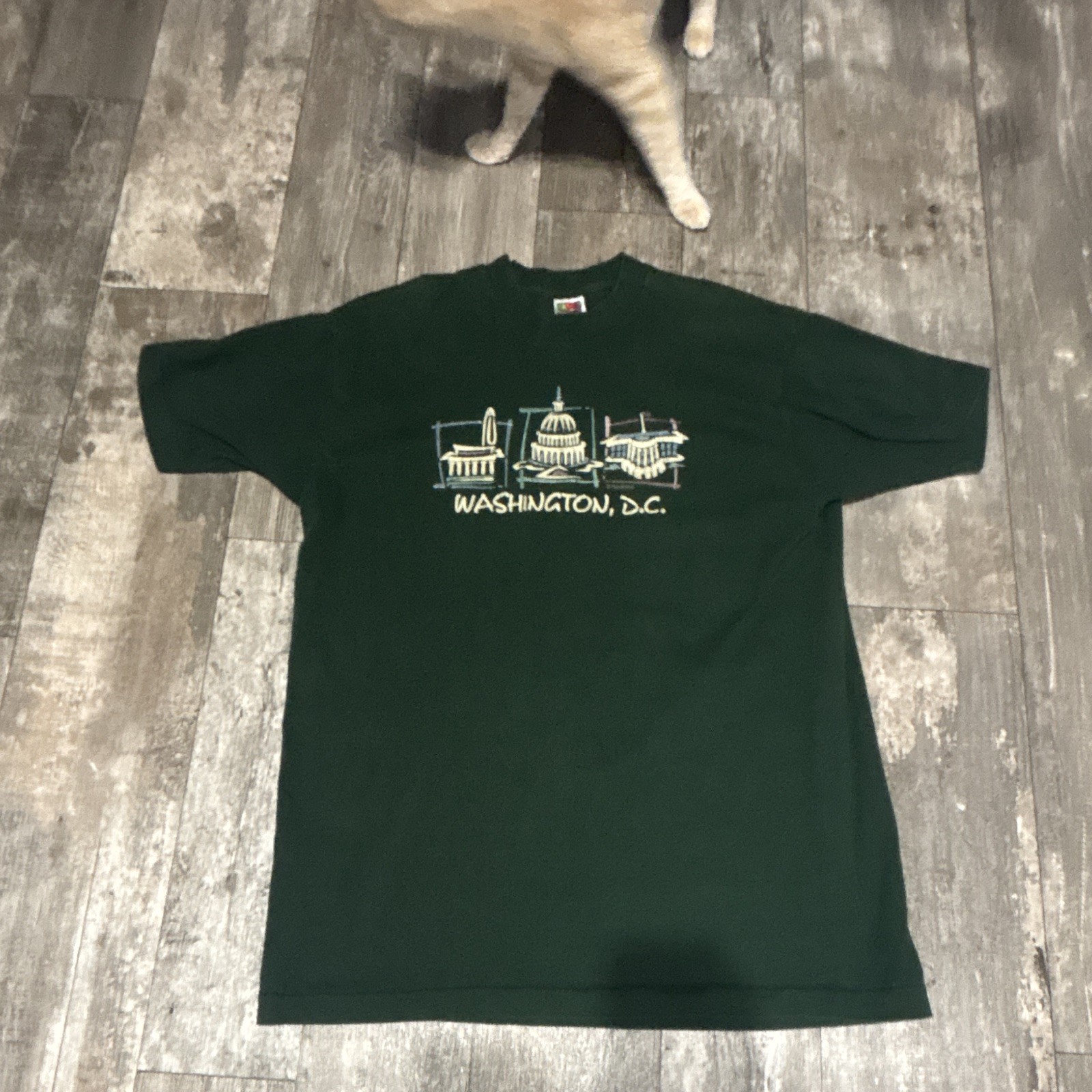 Vintage Green Washington DC T shirt single stitch