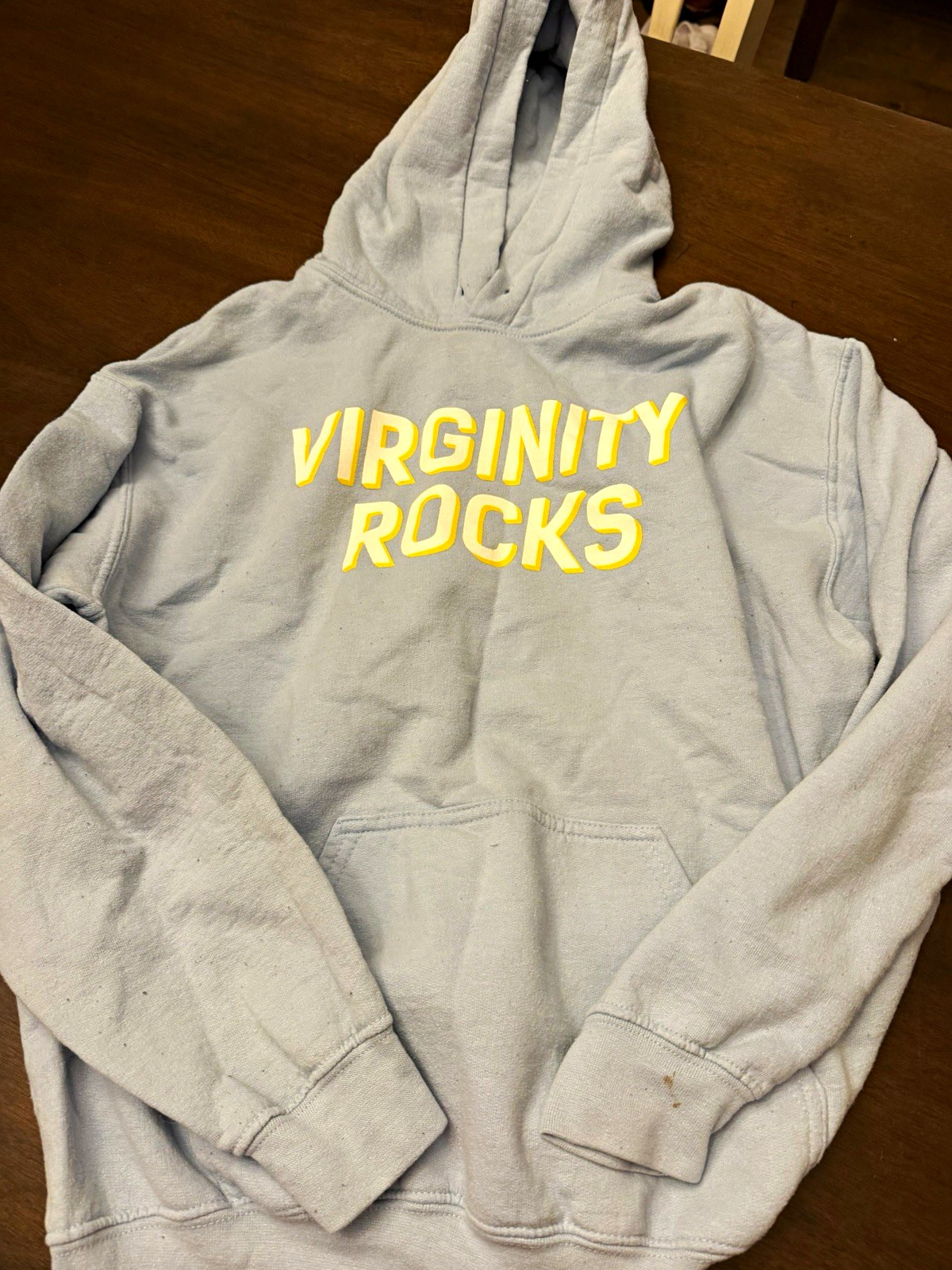 Danny Duncan Blue Pullover Hoodie Virginity Rocks Graphic Print Men’s Size M