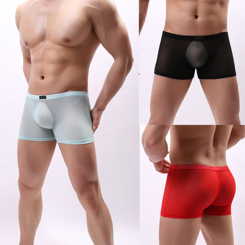 Sexy Mens See-through Boxer Briefs Sheer Mesh Pouch Underwear Lingerie Panties