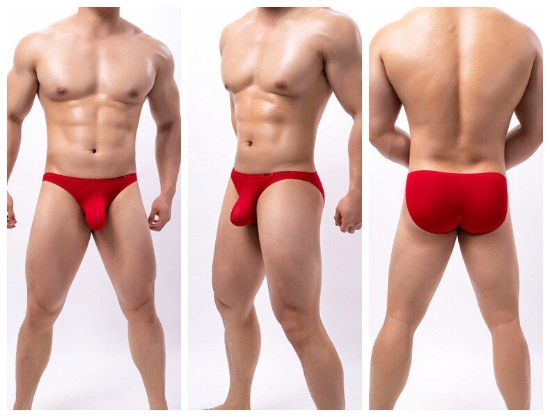 Wholesale supply BRAVE PERSON men’s underwear, men’s briefs B1192