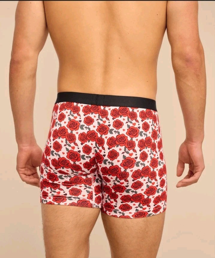 MeUndies UltraModal Core Boxer Brief w/Fly Rosy Cheeks Size 4X NWT